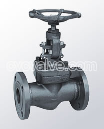 Flange and butt-welded globe valves