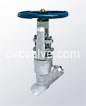 Pressure seal Y type globe valves