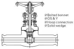 Hoop gate valves 