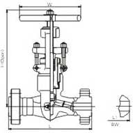 Flange and butt-welded globe valves