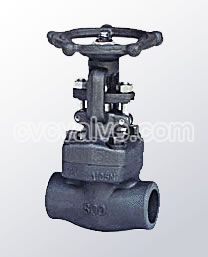 Female threaded and socket welded gate valves