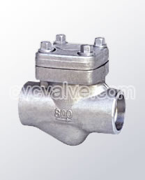 Female threaded and socket welded check valves