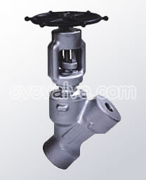 Female threaded and socket welded Y type globe valves