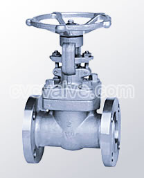 Forged steel gate valves