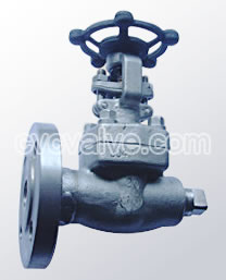 Special purposes gate valves