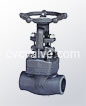 Female threaded and socket welded gate valves