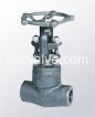 Female threaded and socket welded gate valves