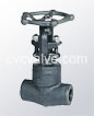 Female threaded and socket welded globe valves