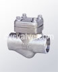 Female threaded and socket welded check valves