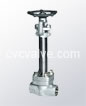 Cryogenic gate valves