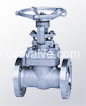 Forged steel flange gate valves