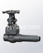 Extended body gate valves