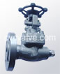 Special purposes gate valves