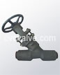 Y type pressure sealed check valves