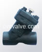 Y-type strainers