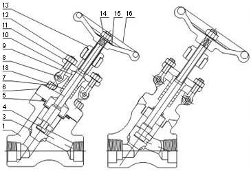 Female threaded and socket welded Y type globe valves