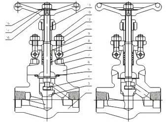 Female threaded and socket welded globe valves