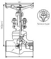 Female threaded and socket welded globe valves