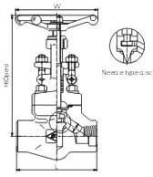 Female threaded and socket welded globe valves