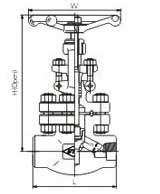 Female threaded and socket welded globe valves