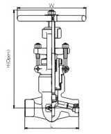 Female threaded and socket welded globe valves