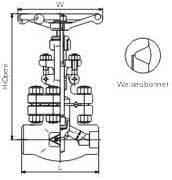 Female threaded and socket welded globe valves