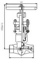 Female threaded and socket welded globe valves