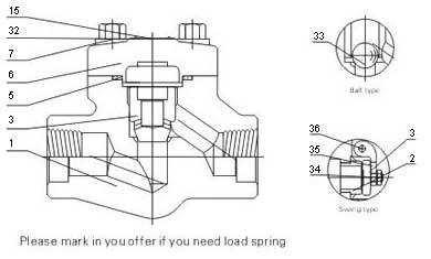 Female threaded and socket welded check valves