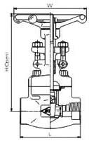 CL800