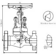 Flange and butt-welded globe valves