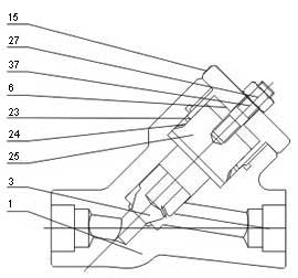 Y type pressure sealed check valves