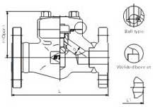 Flange and butt-welded check valves