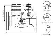 Flange and butt-welded check valves
