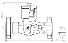 Flange and butt-welded check valves