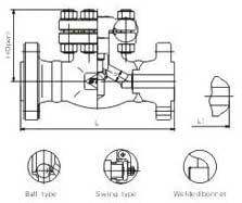 Flange and butt-welded check valves