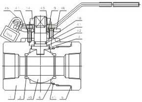 2PCS Forged steel ball valves